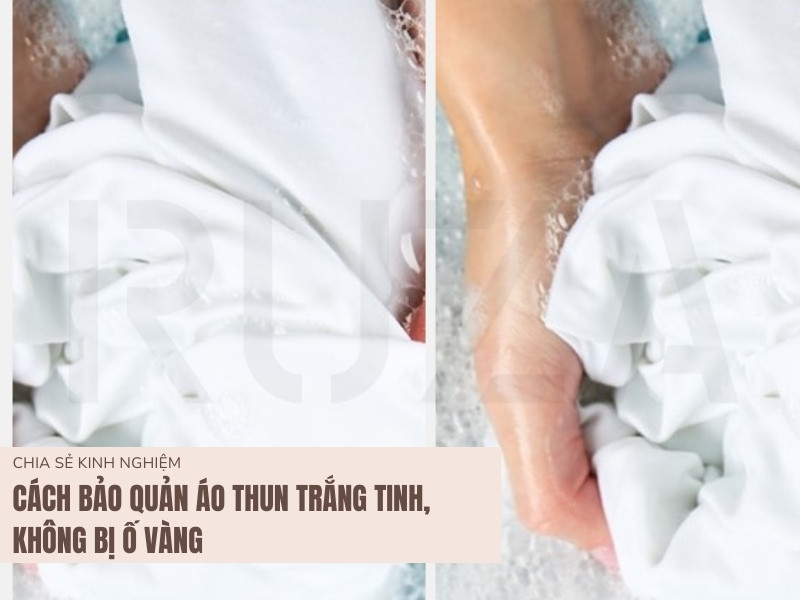 Cách Bảo Quản Áo Thun Trắng Luôn Mới Và Đẹp