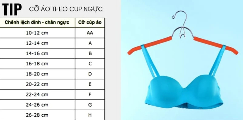 Chân ngực là gì? Cách đo vòng chân ngực mua áo lót chuẩn size