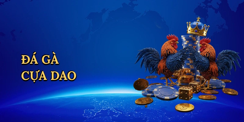 Đá gà cựa dao