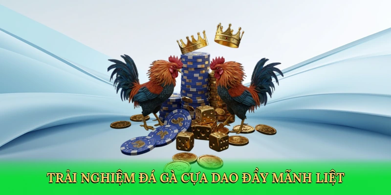 Đá Gà Cựa Dao: Trải Nghiệm Đấu Trường Kịch Tính Tại SP666