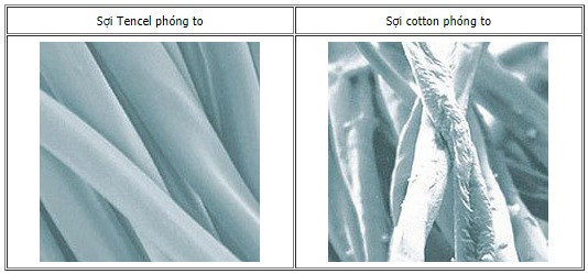 Vải Tencel là gì? Tìm hiểu từ A – Z về chất liệu vải Tencel