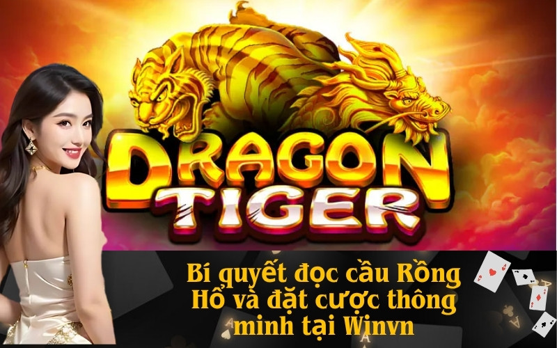 Bí quyết đọc cầu Rồng Hổ và đặt cược thông minh tại Winvn