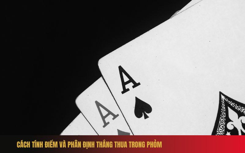 Hướng dẫn cách chơi bài Phỏm chi tiết cho người mới