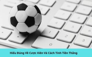 So sánh quần trunk và quần boxer: Đâu là sự lựa chọn hoàn hảo?