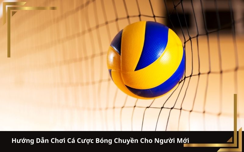 Hướng Dẫn Chơi Cá Cược Bóng Chuyền Cho Người Mới