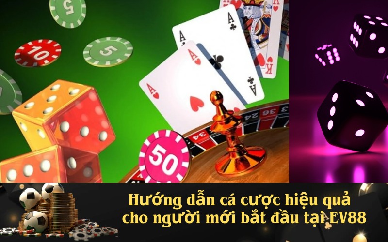 Lưu nháp tự đHướng dẫn cá cược hiệu quảộng