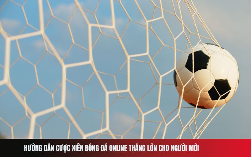 Hướng dẫn cược xiên bóng đá online thắng lớn cho người mới