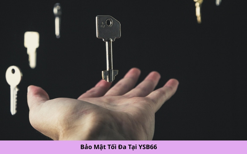 Bảo Mật Tối Đa Tại YSB66