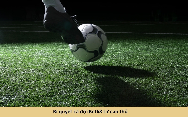 Bí quyết cá độ iBet68 từ cao thủ