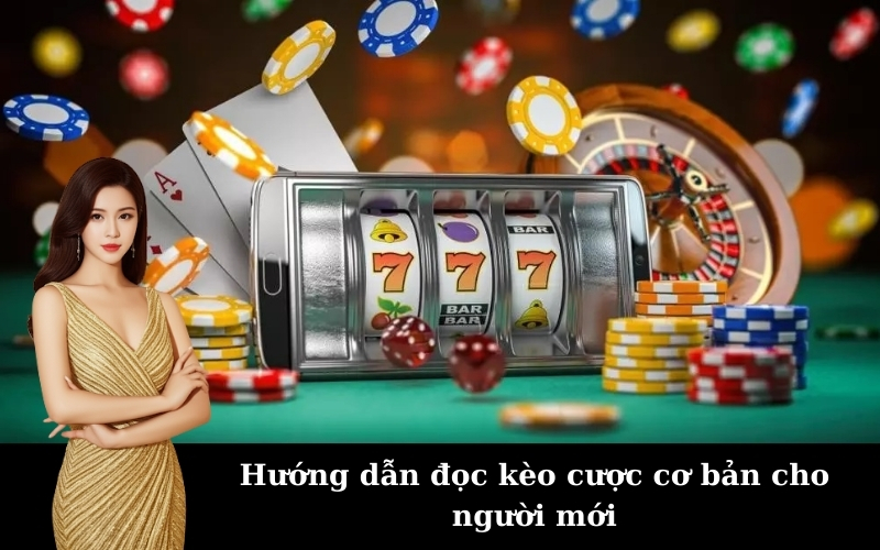 Giải mã cho người mới: Cược thể thao là gì và các hình thức phổ biến?