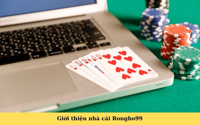 Giới thiệu nhà cái Rongho99