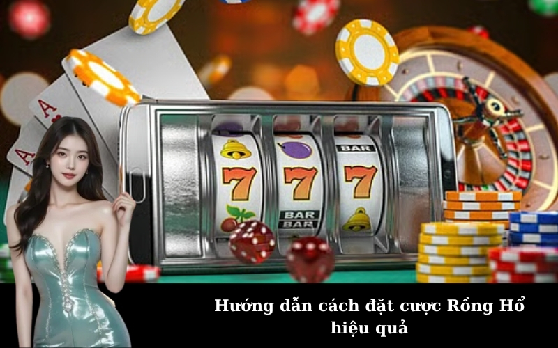 Hướng dẫn cách đặt cược Rồng Hổ hiệu quả