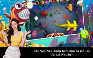 Đừng bỏ lỡ các chương trình khuyến mãi Net79 hấp dẫn