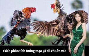 Đi Đà Lạt mặc gì đẹp? Tổng hợp outfit đi Đà Lạt giúp bạn sành điệu trong mọi khoảnh khắc!